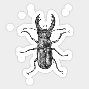 Stag Beetle Sticker